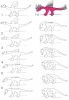 Drache_Flugstudie.JPG