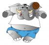 Elefant.JPG