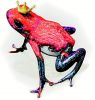 Froschkoenig_Plastik.JPG